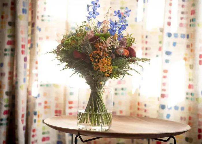 Aletxo's San Sebastian